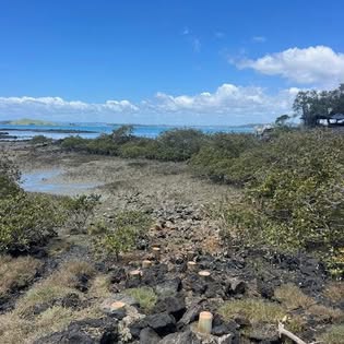 Coastal construction site with timber pile foundations