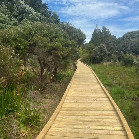 Timber boardwalk through New Zealand native bush reserve